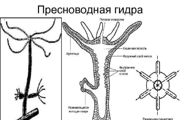 Магазин кракен в москве наркотики