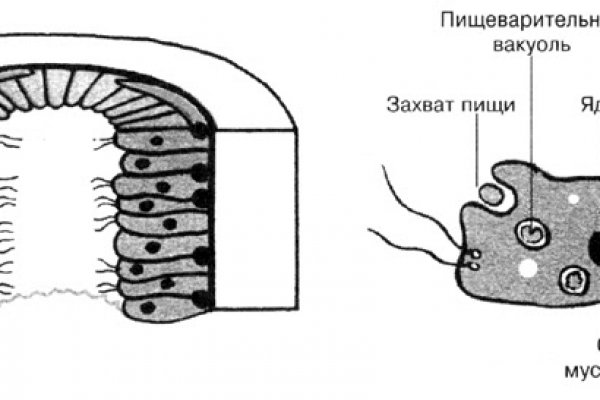 Kraken даркнет рынок