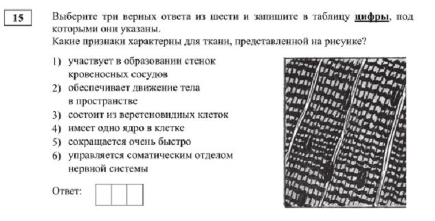 Кракен что это такое наркотики